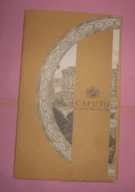 CAPUTO  红酒活页画集  13页