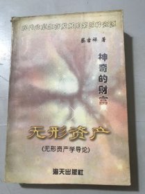 《神奇的财富：无形资产（无形资产学导论）》 。