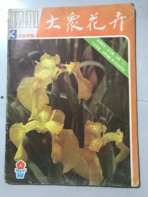 1985年 第3期总第17期《大众花卉》/桂花封闭扦插育苗：邱宗渭/盆栽果石榴：曹季贤/月季试管苗的移栽和运输：周娟芳、金韵琴/月季插条如何选取：樊作明/海仙花：沈志远/玉盘银环聚八仙：李鸣一/美丽多姿的球根海棠：彭增盛/猬实：董保华/君子兰香传万家：初斌/鲜花的香气为什么能杀菌：杨延群/花木寄深情：魏黄源……