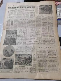 《中国农民报》1984年2月14日 第450期 第1版—第4版/学会领导方法：陈云/林业政策要进一步放宽/江西第一个【植树月】成果喜人/关于农村统筹费用的问题：龚道育/如何学习中国现代史：王桧林/一换一等于二：王燕生/你知道“文身”的意义吗：陈为/清风动高泉：孙天牧/河曲以户承包治理小流域：侯济舟/专业户送来的奖状：薛丁、马胜/“老八板”变成“科学迷”：成玉、赵柯、李科/16岁的“养兔小状元”……