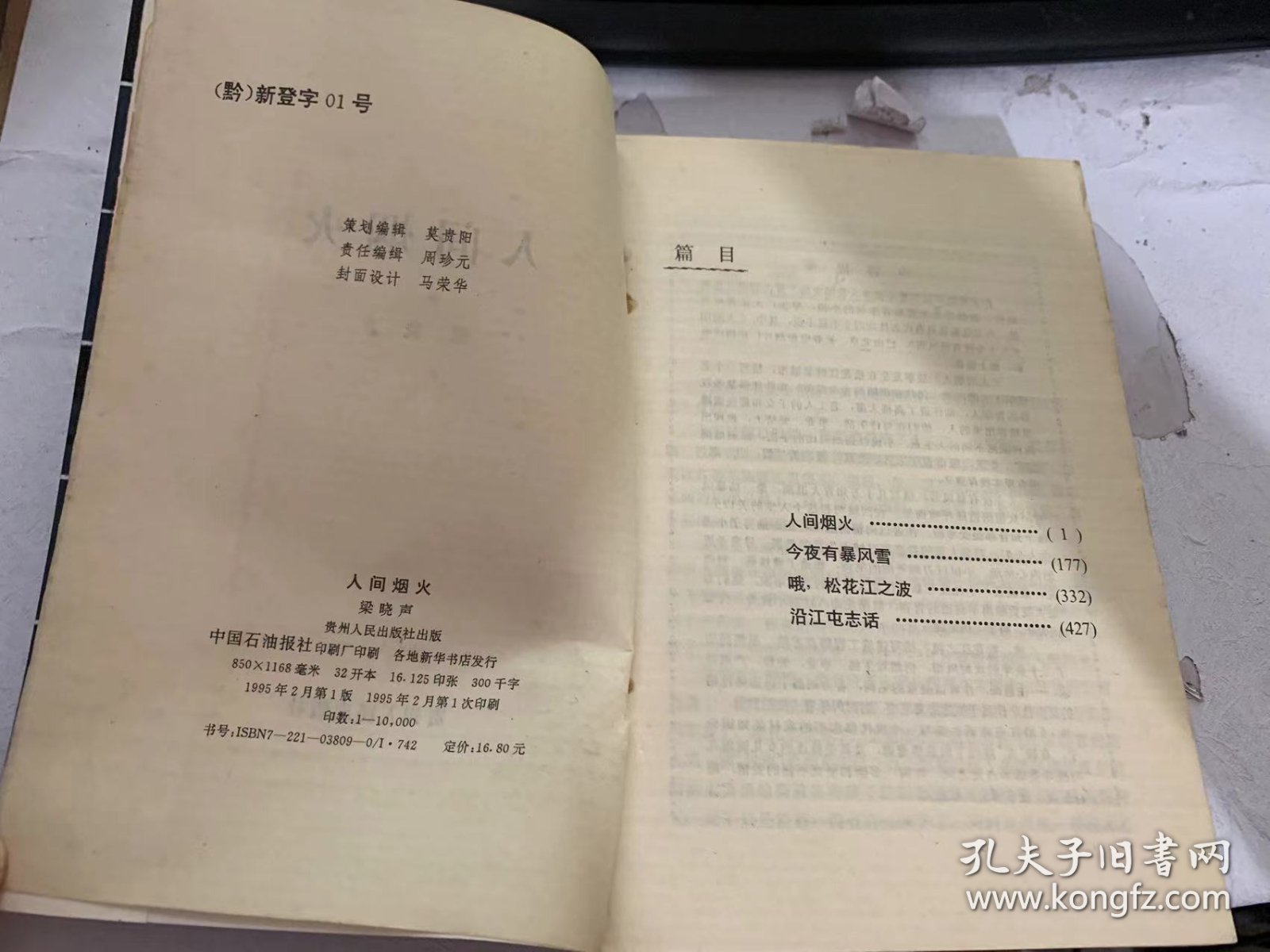 当代名家精品·小说卷《人间烟火》（人间烟火/今夜有暴风雪/哦，松花江之波/沿江屯志话…）