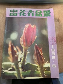 《中国花卉盆景》1986年第6期总第19期/靠科学管理和新技术发展花卉盆景事业：朱培/流派必须发展 风格贵在创新：徐晓白 赵庆泉/北京盆景的艺术风格值得探讨—与彭舂生同志商榷：黄晓刚/罕见的黄花君子兰：孙鸿国编译/告诉你：怎样拍摄好花卉照片：东太/无土栽培室内植物（四）：朱士香/夏季如何做好花卉常见病害防治：冯天哲/桩景的施肥：张伟/意大利的花卉产销概括介绍：王涛……