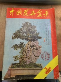 《中国花卉盆景》1986年第5期总第18期/论传统名花：徐海宾/花卉盆景应向一盆多品种方向发展:王忠耿/盆景多味之管见：成功/怎样栽培绿萝：晓飞/倒挂金钟的水繁殖及其养护管理：陈志学/文竹的叶子为什么发黄：谢一兵/四季令箭荷花的嫁接：颜全法 娄恩生/金花茶的繁殖：老谢/百子莲的栽培和水插繁殖：白忠 郑天佑/盆景新秀—赤楠：余德忠/重庆盆景的山石材料：孙玉生……