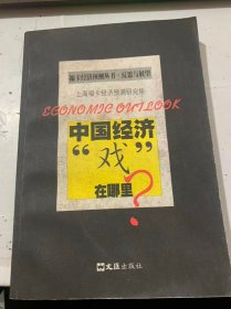 福卡经济预测丛书·反思与展望《中国经济:“戏”在哪里》
