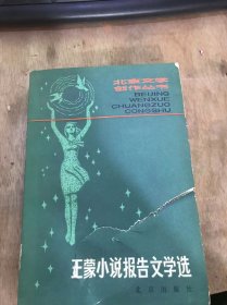 （·北京文学创作丛书·）《王蒙小说报告文学选》新年/国庆的礼花/激动与沉思/报告文学/火之歌/组织部来个年轻人/最宝贵的/歌神%