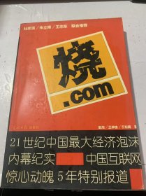 《烧，com21世纪中国最大经济泡沫内幕纪实》