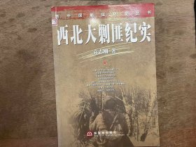 《西北大剿匪纪实》