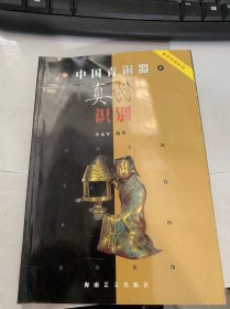 鉴赏宝典系列《中国青铜器真伪识别》（青铜器与工作古代文化/夏代青铜及其识别/中国青铜器文化的特点/中国青铜器的起源与发展/中国青铜器的后代收藏情况…）