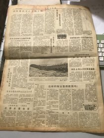 1987年11月13日 第59期《中国文物报》第一版-第四版 /广州首次出唐三彩：黄淼章、冼乐/龙门宋代修路修佛漫谈：温玉成/政协委员关心文物工作：罗哲文/敖汉旗征集一件铃首曲柄青铜短剑：邵国田/安徽铜陵发现一批古代铜矿遗址：杨立新/世界屋脊的明珠-布达拉宫：张涛/清代的宫廷绘画：翟路/笔考：曹汉刚/汉永平砖砚：黄振海/精妙奇特的童子抱书瓷水注：陈定荣/我国最早的天文台：李丰旺……