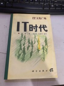 IT文化广场《IT时代》（ 无限延伸的世界/演出现在开始/网络走进视野/系统软件无处不在…）