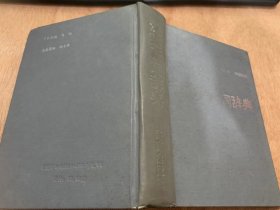 《汉英新词辞典》。