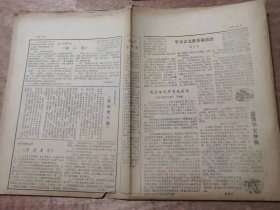 《语文报》1986年3月17日第198号 共16版 /著名作家杜鹏程答小 记者问：吴伟、王浩/奇迹终于发生（七、铤而走险）：顾尔石、吕明/故乡景物记：姚晓征/我思•我想：李嘉/怎样写保证书：于亚中/春天的原野：马文胜/三月，我们踏青去：陈咏/波尔塔湖有多少桶水：李劲松/新月：陶然/光明文学社的故事（六）：肖元/春：兰银成/春色赋：周刚/我羡慕：强育林/爱远航的姑娘：张彤……