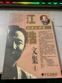 《江浩文集：纪实文学卷1》