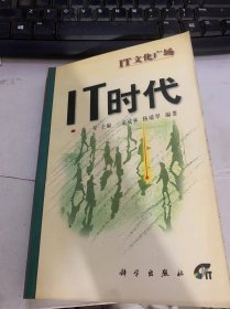 IT文化广场《IT时代》（无限延伸的世界/演出现在开始/网络走进视野/系统软件无处不在…）