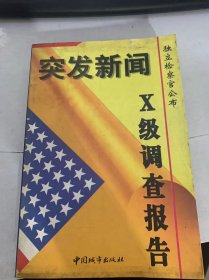 《突发新闻：X级调查报告》