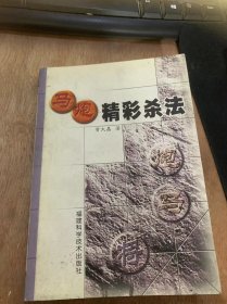 《马炮精彩杀法》。