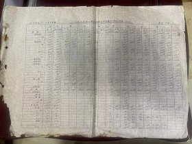 浙江省温州茶厂《一九五九年茶叶产品产量分月成箱实绩统计表（之二）》