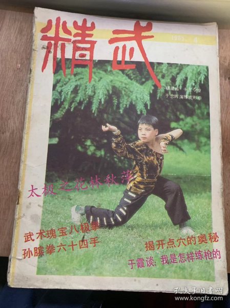 《精武》1985年第4期总第9期/太极之花—林秋萍/黄河长城总关情：丁刚/舂在心头满目花：郑晓君/八极拳：温庄整理/武术瑰宝八极拳：林伯原/技击精言：程宗猷 唐顺之原作 匡委亭译/枪术基本技法：温力/我是怎样练枪的：于震/说长道短鞭杆：王静/我在意大利教武术：杨世文/瑞典考察日记：陈凤萍/我爱中国武术：【日】宫保平/怎样练好正踢腿和弹腿：张林艳/八卦名家“翠花刘”：刘凯……