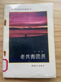 革命理想革命传统教育丛书《老共青团员》
