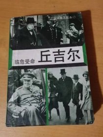 二次大战三巨头（三）《临危受命-丘吉尔》/公爵之后/不及格的学生/