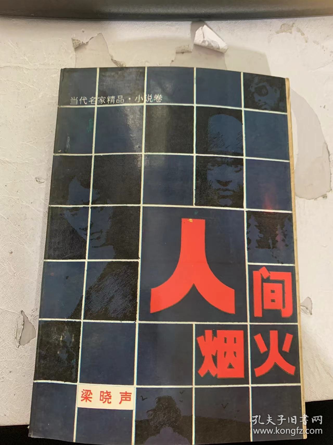 当代名家精品·小说卷《人间烟火》（人间烟火/今夜有暴风雪/哦，松花江之波/沿江屯志话…）