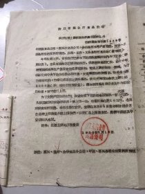 1962年7月13日 浙江省商业厅食品公司《关于生姜上调计划和拨给化肥的通知》。