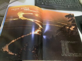温州生态园《三垟湿地》