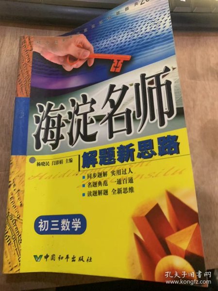 （初中同步类型题规范解题题典）《海淀名师解题新思路初三数学》一元二次方程/函数及其图像/统计初步/解直角三角形/圆……