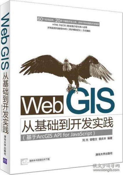 Web GIS从基础到开发实践：基于ArcGIS API for JavaScript