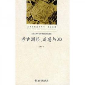 考古测绘、遥感与GIS/北京大学考古广博学院系列教材