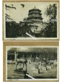 民国北京颐和园老照片两张：1）佛香阁 ，2）乐寿堂内部侧面，尺寸均为10.2X7厘米，泛银。共计两张
