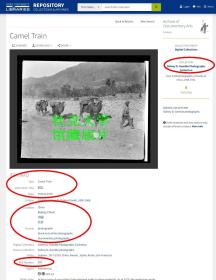 西德尼∙D∙甘博拍摄1918-1919年北京骆驼运输队和把式老照片。10.7X8.1厘米，泛银。 来自甘博的朋友, 沪江大学教授普天德博士（Dr.Gordon Poteat ）收藏。