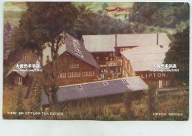 清末民国早期锡兰的立顿茶园明信片-----锡兰立顿茶厂的车间厂房俯瞰