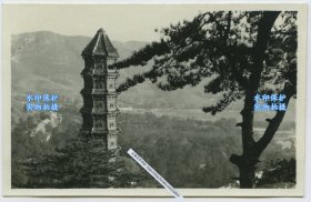 民国北京海淀西山皇家园林静宜园内的琉璃塔老照片，静宜园，清代北京西山“三山五园”之一。10.2X6.6厘米，泛银。