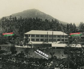 民国时期锡兰茶叶工厂和茶园老照片，13.7X8.7厘米，泛银