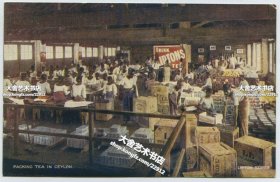 民国早期锡兰的立顿茶园明信片----繁忙的茶厂车间内景--大批正在包装的茶叶堆满厂房。
