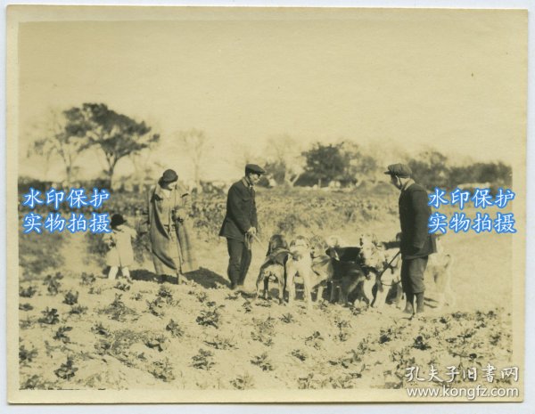 1920年代美国杜邦公司外籍员工家属和牵狗的中国侍从老照片一张。10.4X8厘米，泛银。整组照片和当时美国杜邦公司向中国传统染坊推广“阴丹士林”靛蓝染料的商业调查和活动有关。