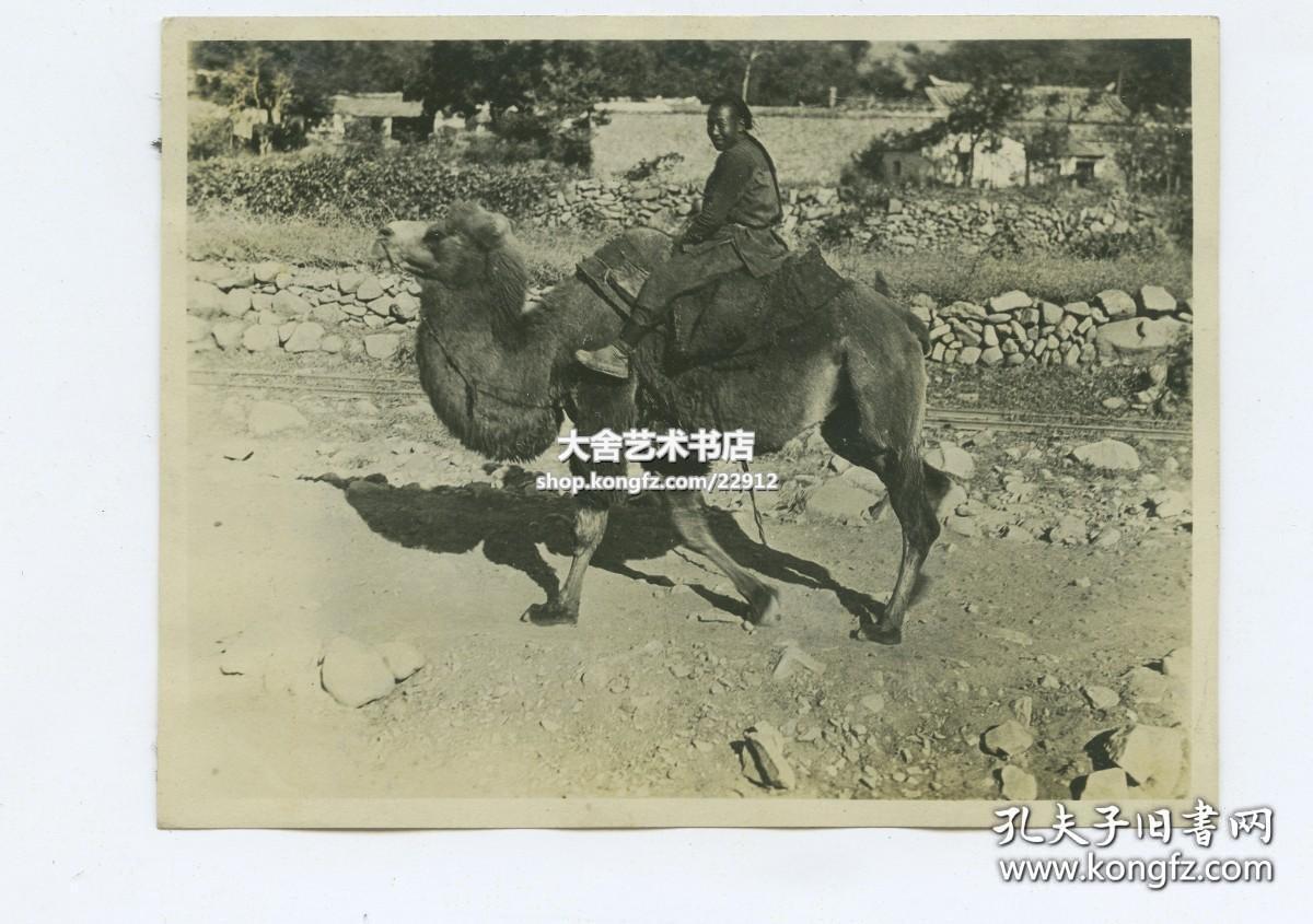 西德尼∙D∙甘博拍摄1918-1919年北京门头沟潭拓寺骆驼和骑手老照片。10.6X8.1厘米，泛银。 来自甘博的朋友, 沪江大学教授普天德博士（Dr.Gordon Poteat ）收藏。