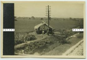 1955年8月京沪铁路沿线农田中看护人的窝棚老照片，列车上拍摄。泛银。