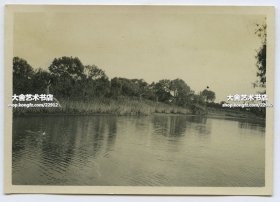 民国时期运河沿岸水系植被老照片。8.5X6厘米，泛银