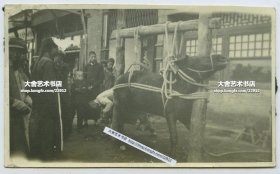 清末民初北京街头钉马掌民俗老照片。12.5X7.5厘米，泛银
