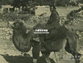 西德尼∙D∙甘博拍摄1918-1919年北京门头沟潭拓寺骆驼和骑手老照片。10.6X8.1厘米，泛银。 来自甘博的朋友, 沪江大学教授普天德博士（Dr.Gordon Poteat ）收藏。