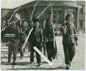 1981年北京意气风发的少年参加义务植树老照片。22.6X18.6厘米。一张有精气神的照片。