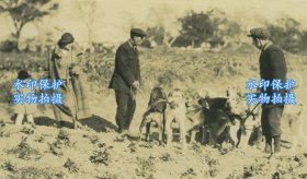 1920年代美国杜邦公司外籍员工家属和牵狗的中国侍从老照片一张。10.4X8厘米，泛银。整组照片和当时美国杜邦公司向中国传统染坊推广“阴丹士林”靛蓝染料的商业调查和活动有关。