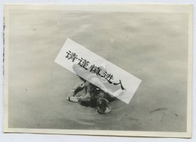 1937年淞沪事变八一三抗战时期，上海黄浦江之上漂浮的罹难百姓尸体老照片。8.8X6厘米，泛银