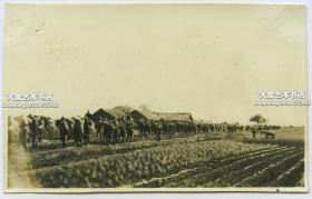 民国时期侵华日军部队在中国农村田间行军老照片。9.6X6厘米，泛银