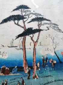 歌川广重初期《京都名所 御殿山满花》松树与樱花 江户原版画 日本浮世绘风景