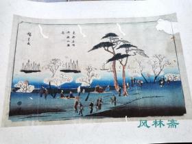 歌川广重初期《京都名所 御殿山满花》松树与樱花 江户原版画 日本浮世绘风景