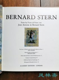 文字的力量 BERNARD STERN画选 16开136图 英国现代油画家