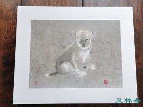竹内浩一 16开石版画《小狗》 日本现当代工笔动物画大师